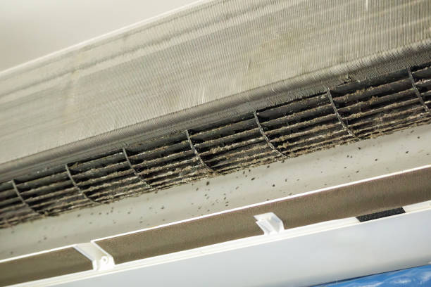 Best Local Air Duct Cleaning Services  in Green Oaks, IL