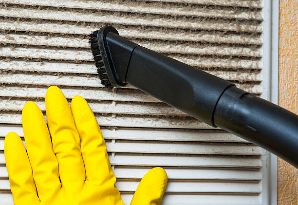 Best Home Air Vent Cleaning  in Green Oaks, IL